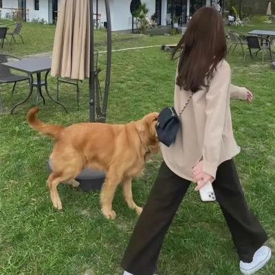 危情十日